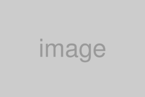 大物品（プレート・長物）